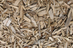 biomass boilers Barmouth